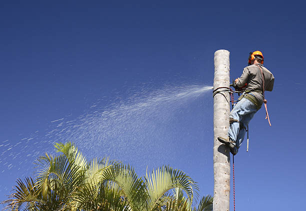 Lawn Irrigation Installation and Maintenance in Boley, OK